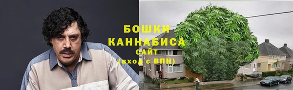 сатива Верхнеуральск