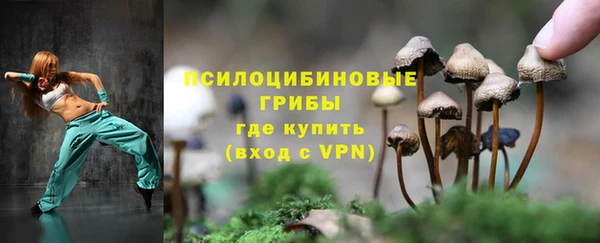 ALPHA PVP Верхний Тагил